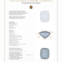 3.93 Ct.Tw.Total Carat Weight Blue Sapphire Pair from Ceylon (Sri Lanka) 3 D Scan Report
