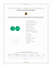 Jewelry Scan Report