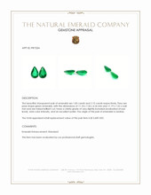 4.00 Ct.Tw.Total Carat Weight Emerald Pair from Zambia Appraisal