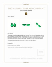 4.00 Ct.Tw.Total Carat Weight Emerald Pair from Zambia Appraisal