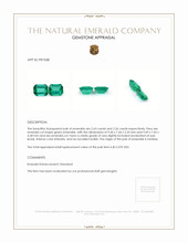 4.89 Ct.Tw.Total Carat Weight Emerald Pair from Zambia Appraisal