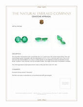 5.97 Ct.Tw.Total Carat Weight Emerald Pair from Zambia Appraisal