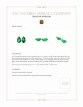 6.04 Ct.Tw.Total Carat Weight Emerald Pair from Zambia Appraisal
