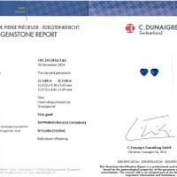6.16 Ct.Tw.Total Carat Weight Blue Sapphire Pair from Ceylon (Sri Lanka) Scan Report