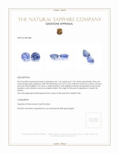 3.21&nbsp;Ct.Tw.Total Carat Weight Blue Sapphire Pair from Ceylon (Sri Lanka) Appraisal