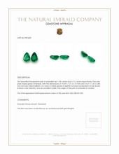 4.10 Ct.Tw.Total Carat Weight Emerald Pair from Zambia Appraisal