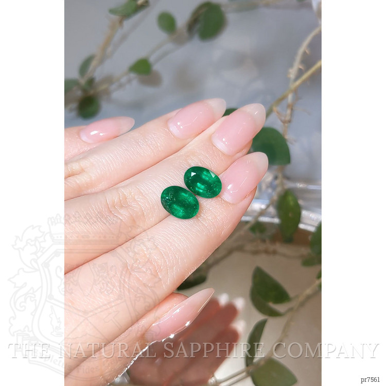 6.50 Ct.Tw. Emerald Pair from Zambia