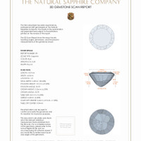 Jewelry 3 D Scan Report