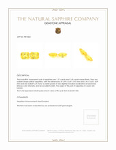 3.17 Ct.Tw.Total Carat Weight Yellow Sapphire Pair from Ceylon (Sri Lanka) Appraisal