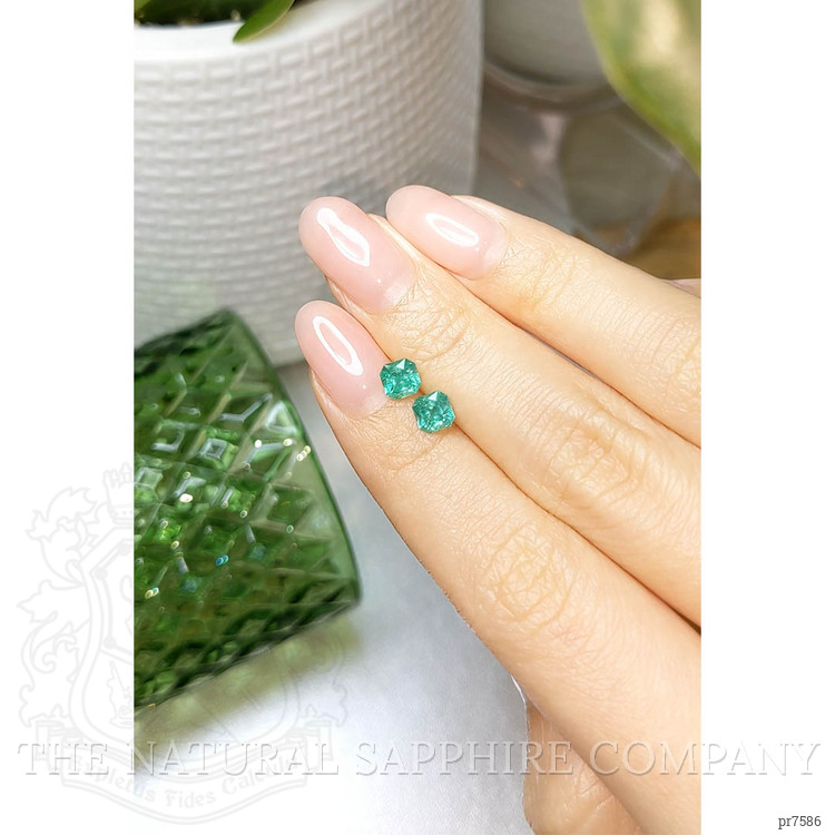1.15 Ct.Tw. Emerald Pair from Brazil