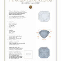 Jewelry 3 D Scan Report