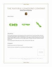 1.08 Ct.Tw.Total Carat Weight Peridot Pair from Burma (Myanmar) Appraisal