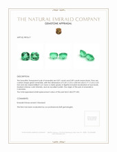 1.76 Ct.Tw.Total Carat Weight Emerald Pair from Colombia Appraisal