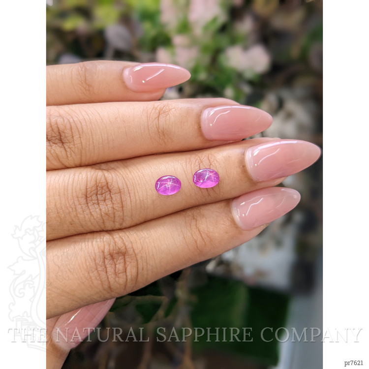 1.33 Ct.Tw. Pink Star Sapphire Pair from Ceylon (Sri Lanka)