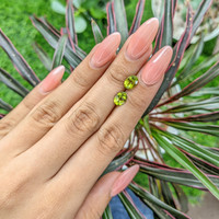 2.43&nbsp;Ct.Tw.Total Carat Weight Peridot Pair from Ceylon (Sri Lanka) Life Style