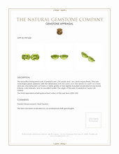 2.83&nbsp;Ct.Tw.Total Carat Weight Peridot Pair from Ceylon (Sri Lanka) Appraisal