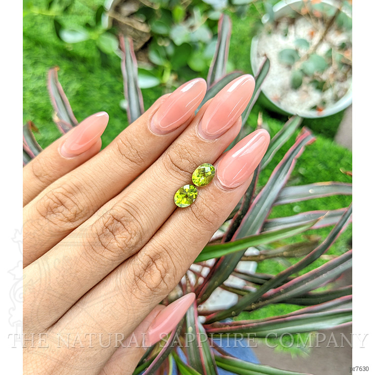 2.83 Ct.Tw. Peridot Pair from Ceylon (Sri Lanka)