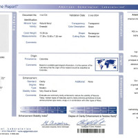 26.98 Ct.Tw.Total Carat Weight Emerald Pair from Colombia Scan Report