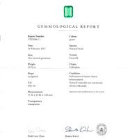 26.98&nbsp;Ct.Tw.Total Carat Weight Emerald Pair from Colombia Scan Report