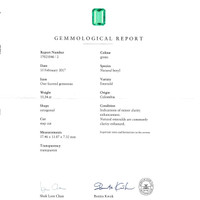 26.98&nbsp;Ct.Tw.Total Carat Weight Emerald Pair from Colombia Scan Report