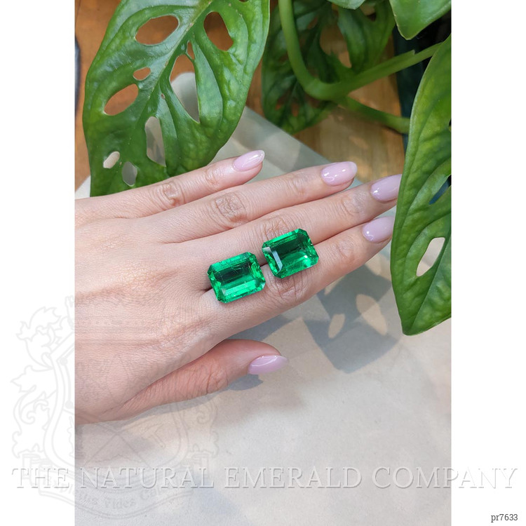 26.98 Ct.Tw. Emerald Pair from Colombia