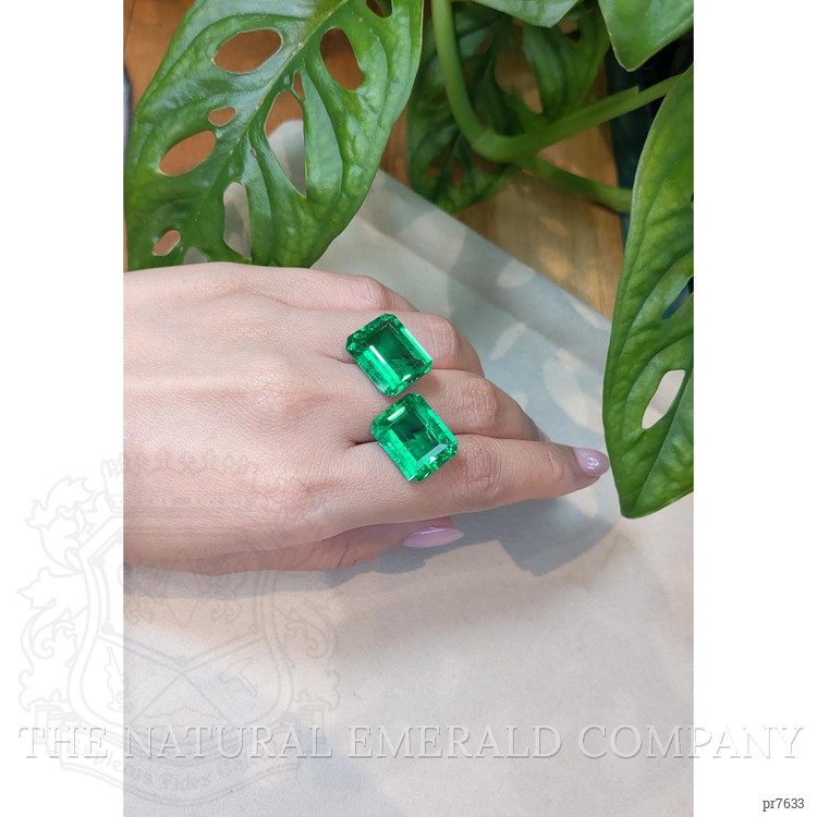 26.98 Ct.Tw. Emerald Pair from Colombia