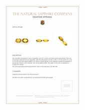 1.67&nbsp;Ct.Tw.Total Carat Weight Yellowish Brown Sapphire Pair from Ceylon (Sri Lanka) Appraisal