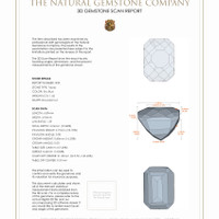 2.73&nbsp;Ct.Tw.Total Carat Weight Topaz Pair from Ceylon (Sri Lanka) 3 D Scan Report