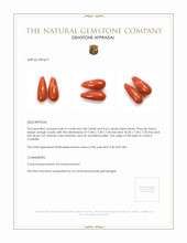 13.48 Ct.Tw.Total Carat Weight Coral Pair from Australia Appraisal