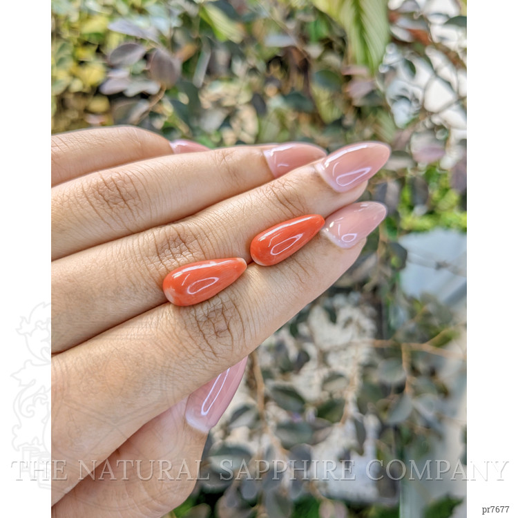 13.48 Ct.Tw. Coral Pair from Australia