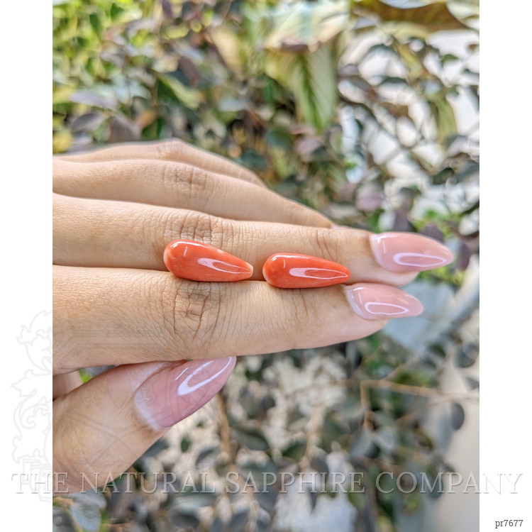 13.48 Ct.Tw. Coral Pair from Australia