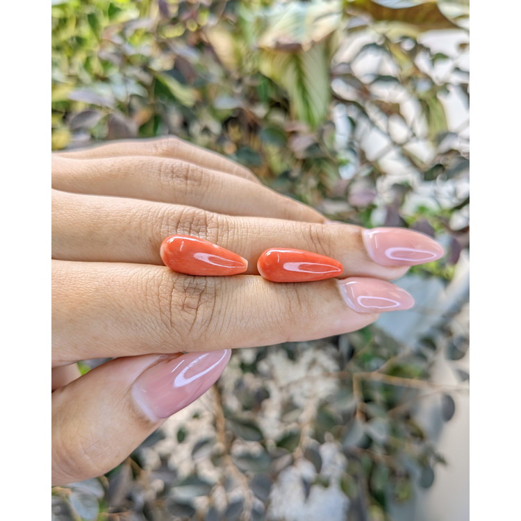 13.48 Ct.Tw. Coral Pair from Australia