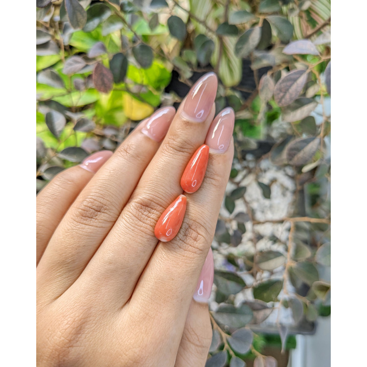 13.48 Ct.Tw. Coral Pair from Australia