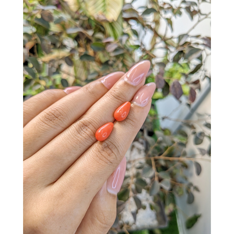 7.08 Ct.Tw. Coral Pair from Australia