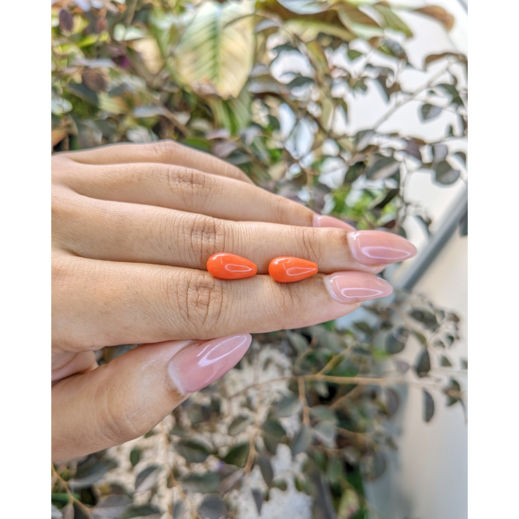 7.08 Ct.Tw. Coral Pair from Australia