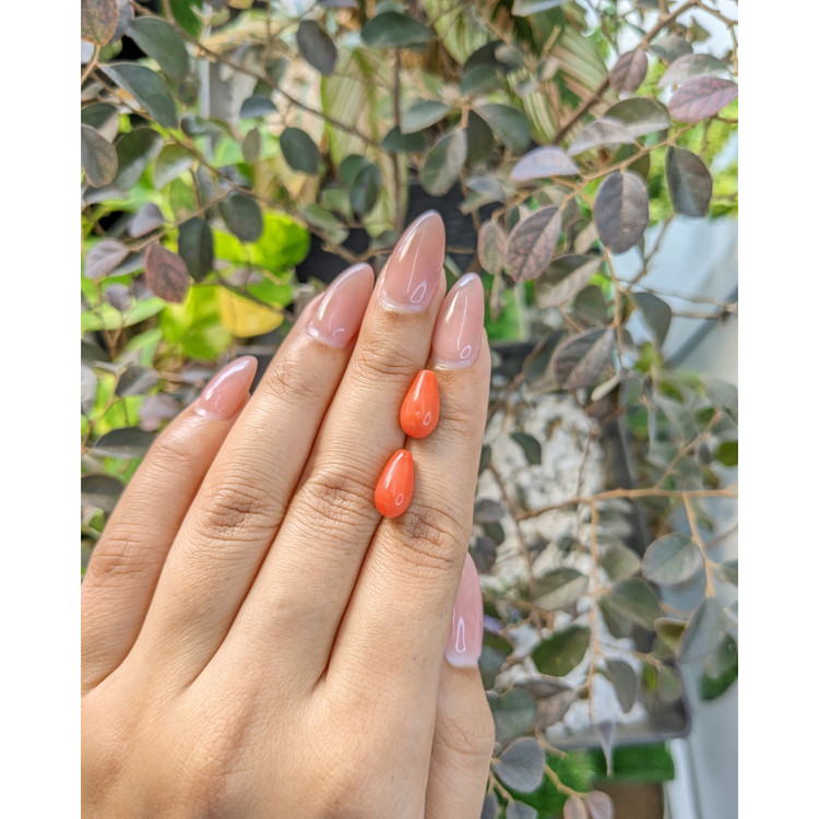 7.08 Ct.Tw. Coral Pair from Australia