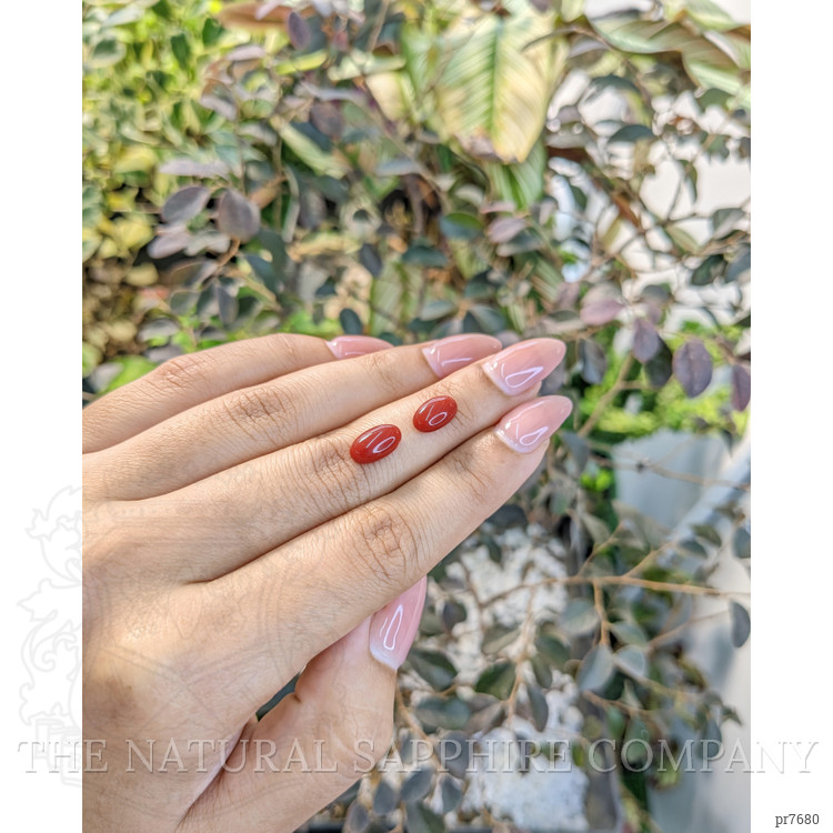 3.34 Ct.Tw. Cabochon Coral Pair from Australia