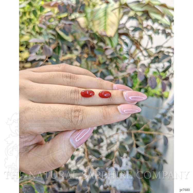 3.34 Ct.Tw. Cabochon Coral Pair from Australia