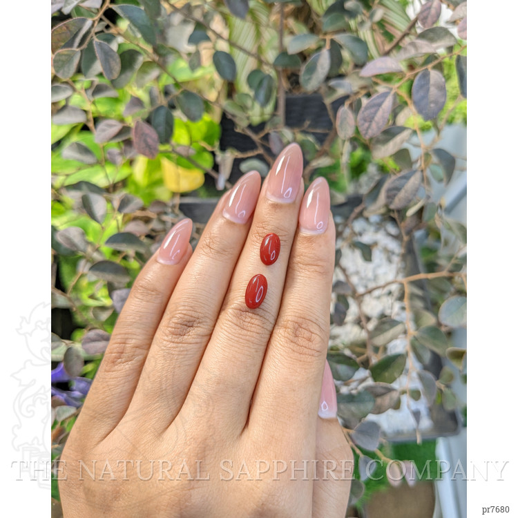 3.34 Ct.Tw. Cabochon Coral Pair from Australia