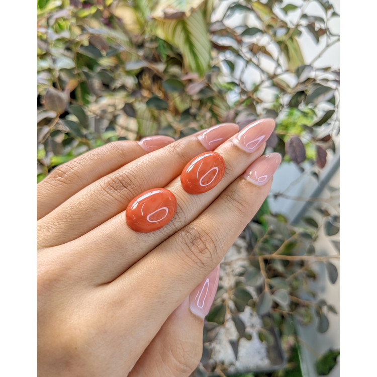 23.90 Ct.Tw. Cabochon Coral Pair from Australia