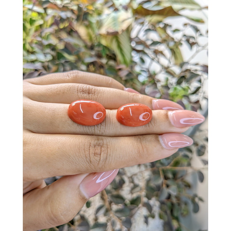 23.90 Ct.Tw. Cabochon Coral Pair from Australia