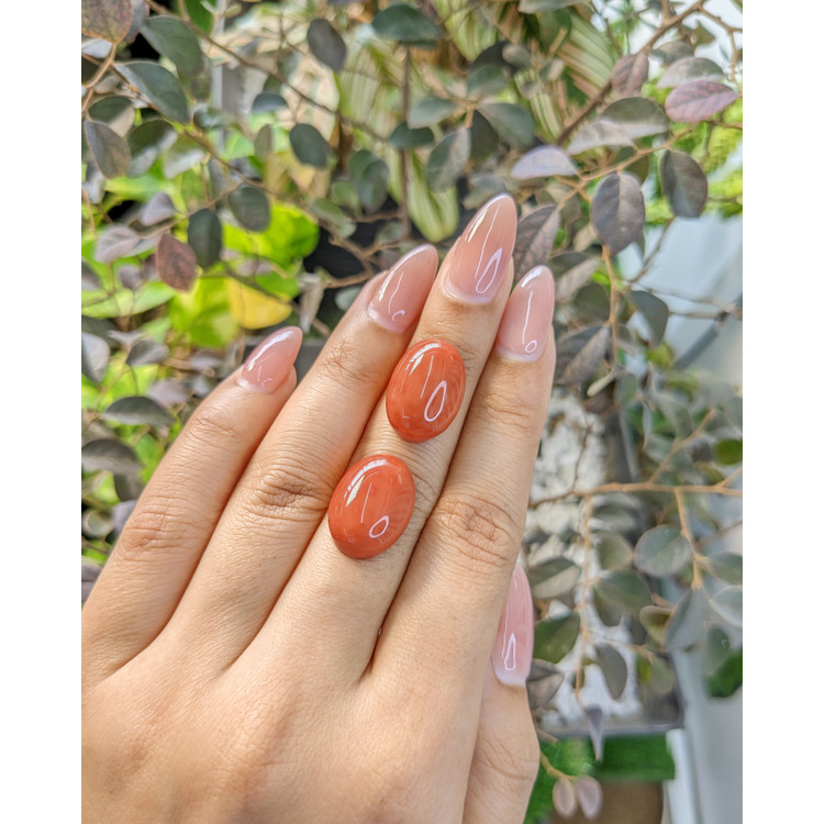 23.90 Ct.Tw. Cabochon Coral Pair from Australia