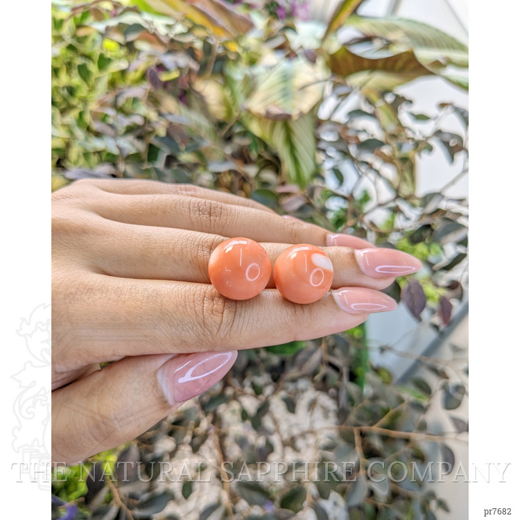 51.32 Ct.Tw. Coral Pair from Malaysia