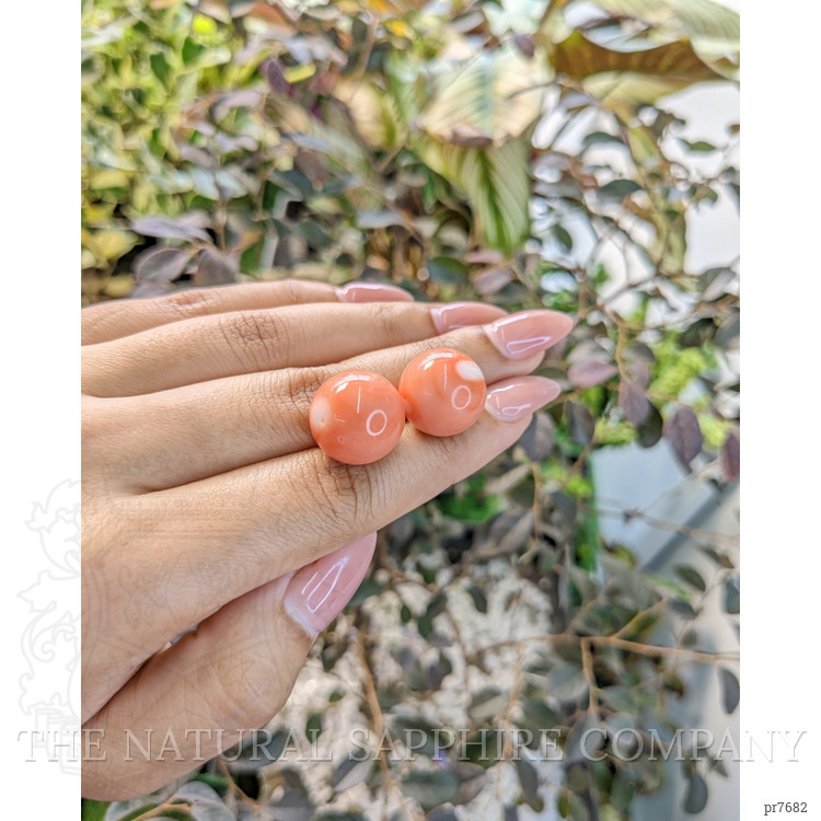 51.32 Ct.Tw. Coral Pair from Malaysia