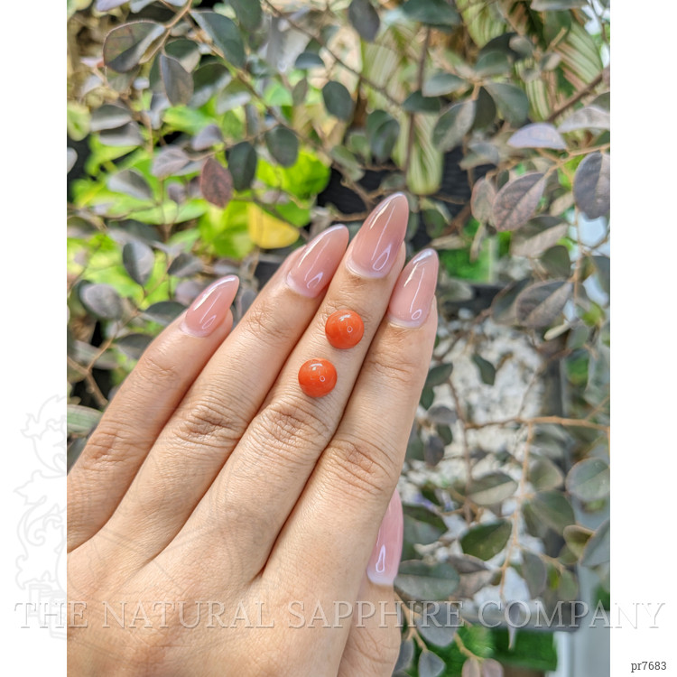 6.80 Ct.Tw. Cabochon Coral Pair from Malaysia