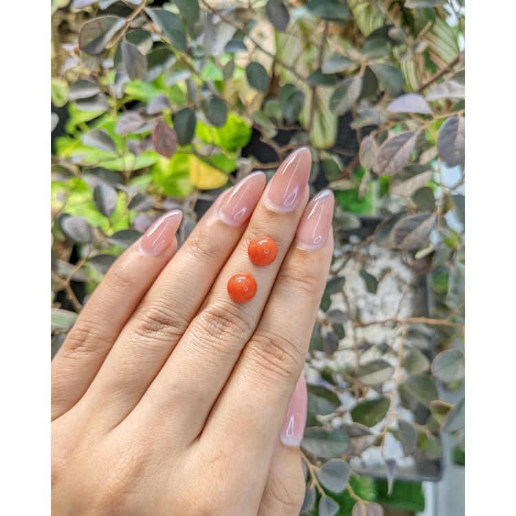 6.80 Ct.Tw. Cabochon Coral Pair from Malaysia