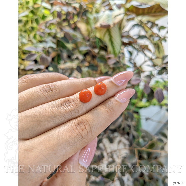 6.80 Ct.Tw. Cabochon Coral Pair from Malaysia