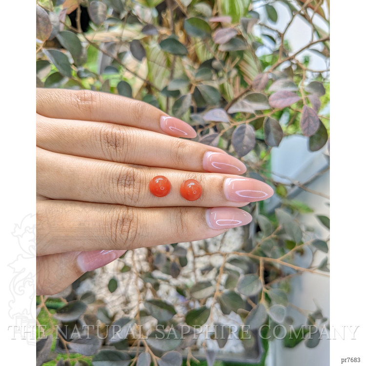 6.80 Ct.Tw. Cabochon Coral Pair from Malaysia