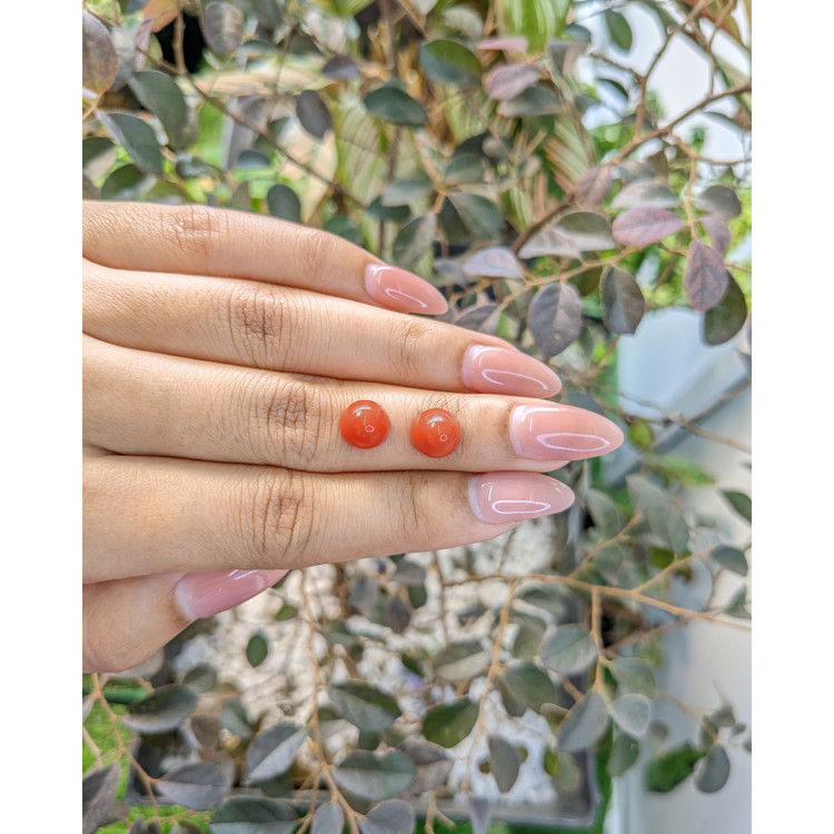 6.80 Ct.Tw. Cabochon Coral Pair from Malaysia