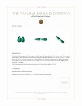 22.70 Ct.Tw.Total Carat Weight Emerald Pair from Zambia Appraisal